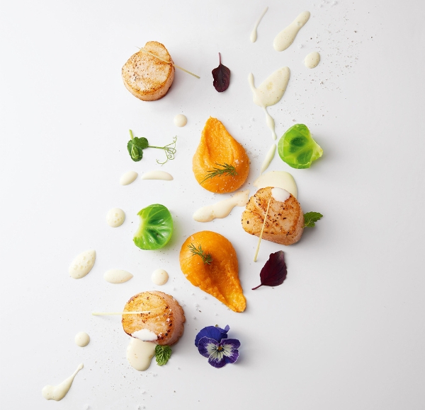 Noix de Saint-Jacques comme un tableau